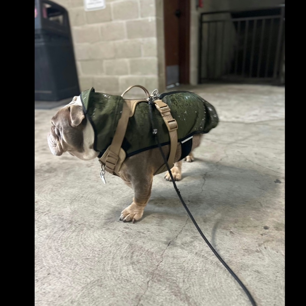 Wildebeest All Weather Dog Jacket Size Medium